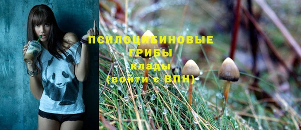 apvp Баксан