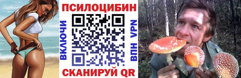 Галлюциногенные грибы Psilocybe  закладки  Черняховск 
