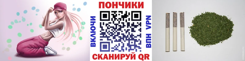 где купить   Черняховск  Конопля AK-47 